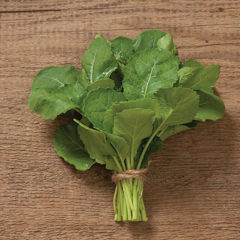 Mustard, Ethiopian Kale 'Amara mustard, Abyssinian mustard' - photo courtesy of Johnny's Selected Seeds