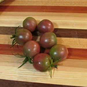 Tomato Chocolate Cherry
