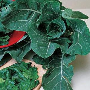 Collards Georgia