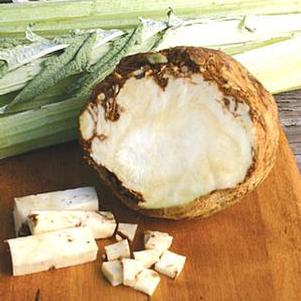 Celeriac Brilliant