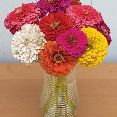 Zinnia State Fair Mix