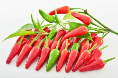 Pepper Buffy F1