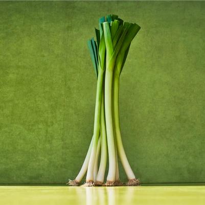 Leek Sweet Garleek